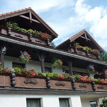 Pension Pretty Harrachov Buitenkant foto